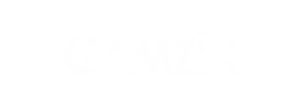 Gamzix game provider
